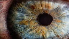 Especialistas: O que significa olhar alguém nos olhos, segundo a psicologia?