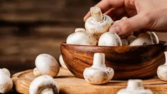 Mantêm-se frescos durante uma semana: agricultora revela truque para conservar os cogumelos