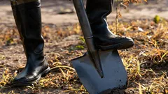 Em abril, a horta deve ser polvilhada com este fertilizante: o solo ficará 10 vezes mais fértil