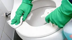 A casa de banho vai ficar a cheirar a fresco sem ambientador: um método rápido, sem químicos