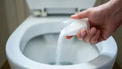 O sal comum dissolveu um entupimento na sanita em 10 minutos: quanto deve deitar?