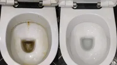 Meio copo desta solução e a sanita brilha como num hotel — o segredo da limpeza